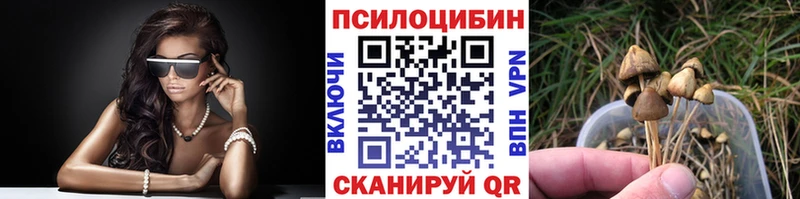 Галлюциногенные грибы Psilocybe  Александров 
